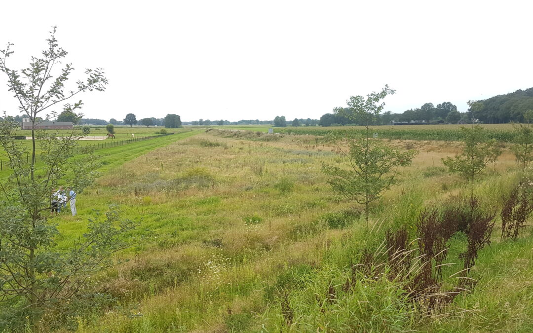 Moestuin initiatief in Voorthuizen